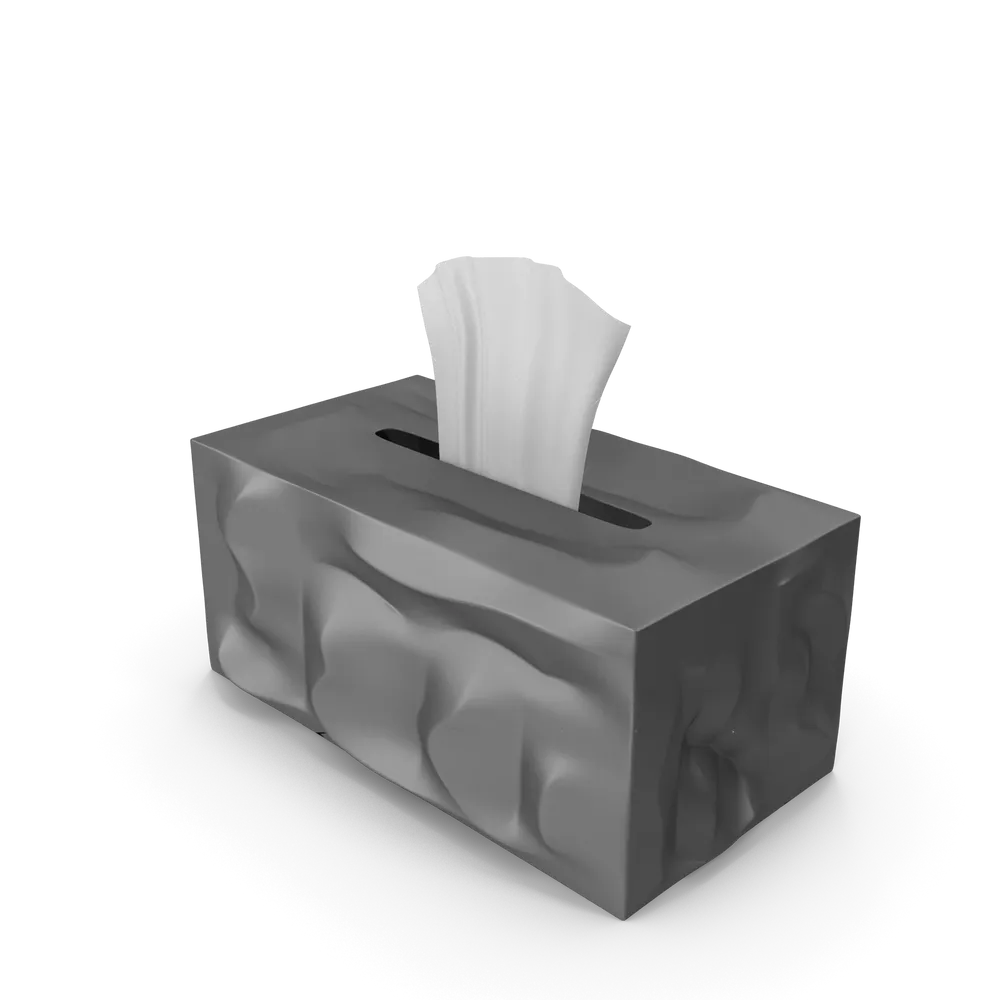 Tissue Paper Box, image 2