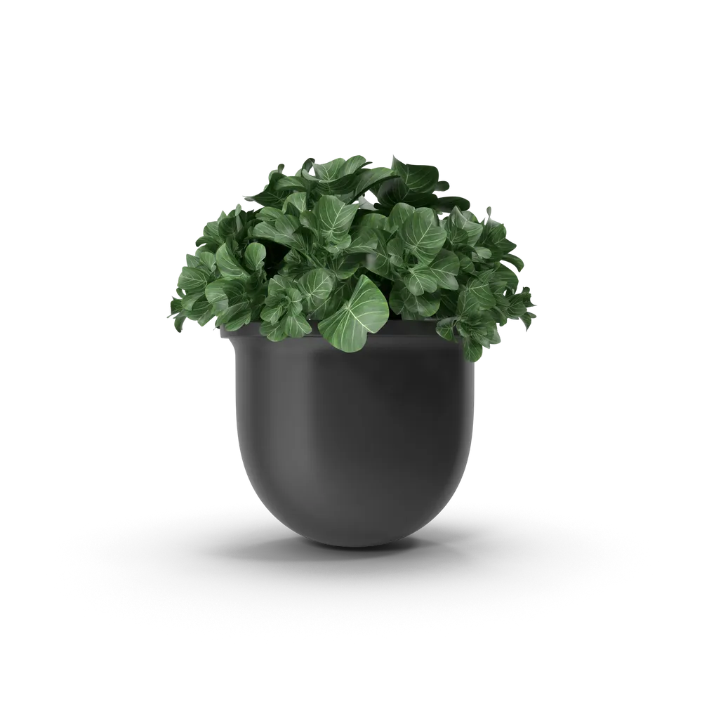 Plant Pot, image 2